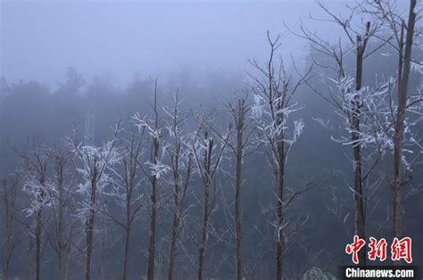 广州下雪|广东下雪了！防冻Ⅳ级应急响应启动！接下来还会更冷…